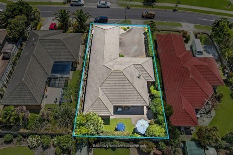 Photo of property in 41 Chadlington Avenue, Henderson, Auckland, 0612