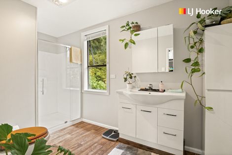 Photo of property in 156 Shag Point Road, Shag Point, Palmerston, 9482