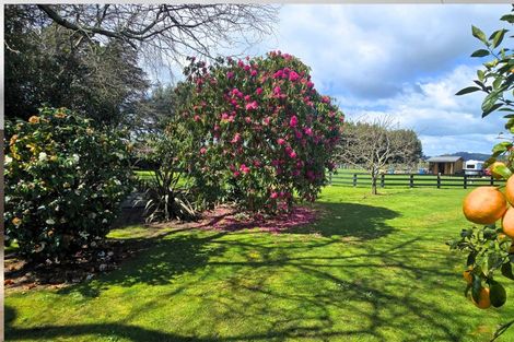 Photo of property in 314 Te Rahu Road, Poroporo, Whakatane, 3193