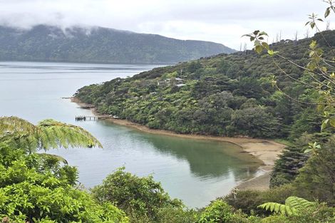Photo of property in 135 Akerbloms Road, Punga Cove, Marlborough Sounds, 7282