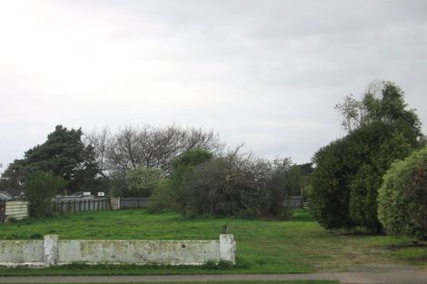 Photo of property in 14 Stuckey Street, Levin, 5510