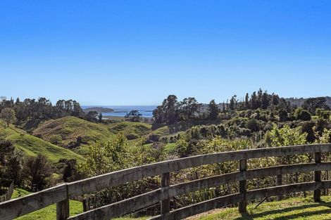 Photo of property in 321 Mccoy Road, Wainui, Opotiki, 3198