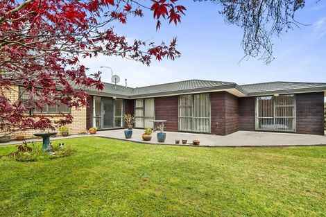 Photo of property in 78 Amberley Avenue, Highbury, Palmerston North, 4412