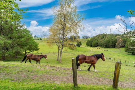 Photo of property in 738 Oruanui Road, Oruanui, Taupo, 3384