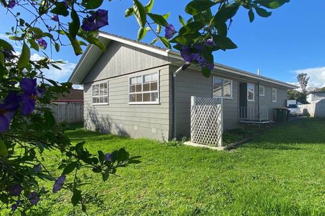 Photo of property in 105 Finlayson Avenue, Clendon Park, Auckland, 2103