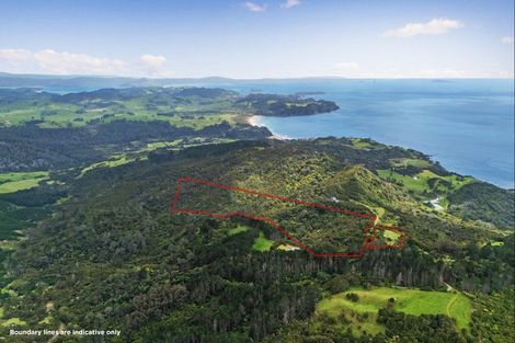 Photo of property in 556 Boat Harbour Road, Whenuakite, Whitianga, 3591