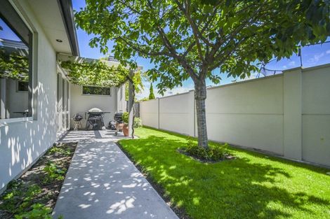 Photo of property in 55 Northwood Avenue, Mahora, Hastings, 4120