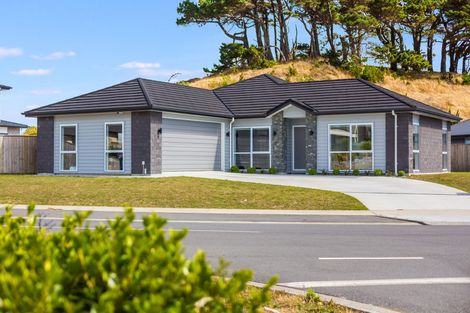 Photo of property in 65 Queen Charlotte Drive, Aotea, Porirua, 5024