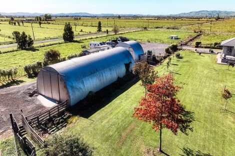 Photo of property in 672 Jary Road, Ohaupo, Cambridge, 3495