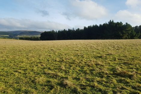 Photo of property in 457 Old Port Road, Warepa, Balclutha, 9273