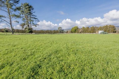 Photo of property in 213c Muhunoa East Road, Ohau, Levin, 5570