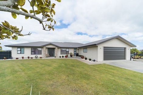 Photo of property in 49 Wapiti Avenue, Feilding, 4775