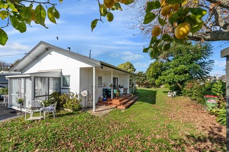 Photo of property in 19 Marshall Street, Fairfield, Hamilton, 3214