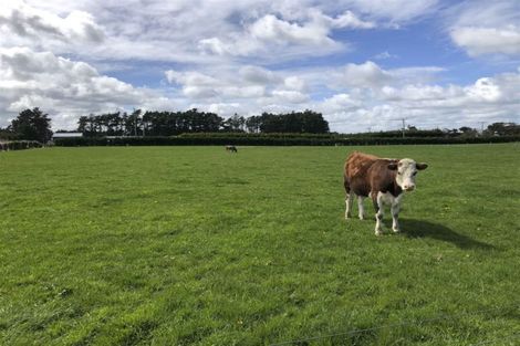 Photo of property in 11a Mill Road North, Mill Road, Invercargill, 9872