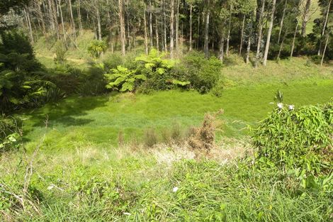 Photo of property in 7 Maungatawhiri Road, Raglan, 3295