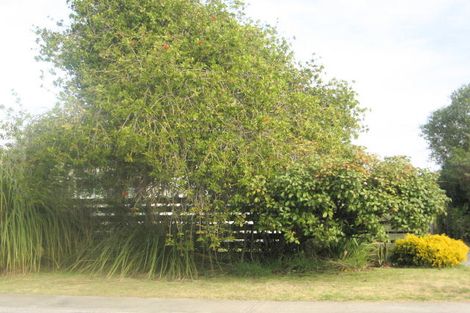 Photo of property in 909 Albert Street, Parkvale, Hastings, 4122