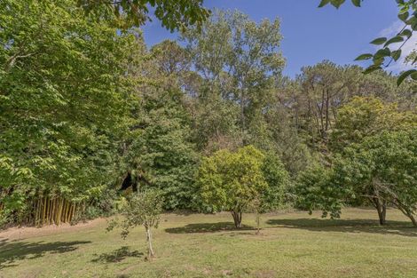 Photo of property in 851 Purangi Road, Cooks Beach, Whitianga, 3591