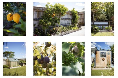 Photo of property in 58b Wilson Road South, Paengaroa, 3189