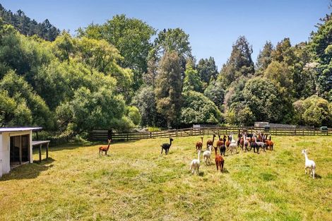 Photo of property in 1414 Pohuehue Road, Warkworth, 0983