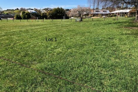 Photo of property in 50 Waimea Avenue, Calton Hill, Dunedin, 9012