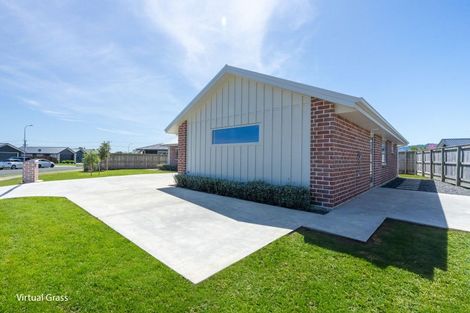 Photo of property in 46 Tainui Street, Levin, 5510