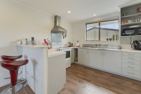 Photo of property in 91 Waenga Drive, Cromwell, 9310