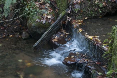 Photo of property in 77 Grammer Road, Tahawai, Katikati, 3170