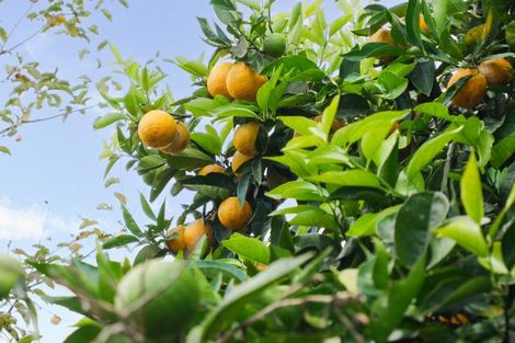 Photo of property in 11 Glenfield Road, Owhata, Rotorua, 3010