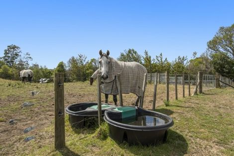 Photo of property in 49 Iona Drive, Pyes Pa, Tauranga, 3173