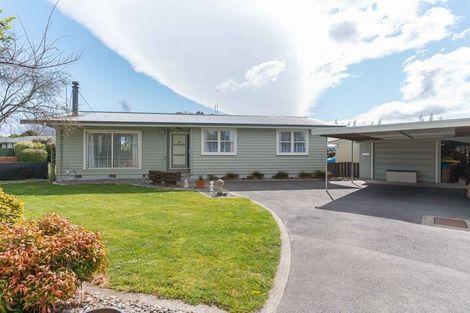 Photo of property in 16 Daniell Street, Solway, Masterton, 5810