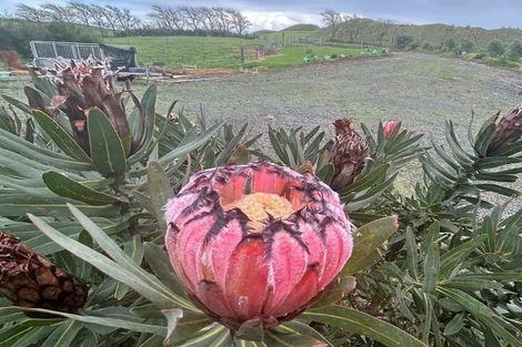 Photo of property in 410 Mahuta Road, Mahuta, Dargaville, 0371