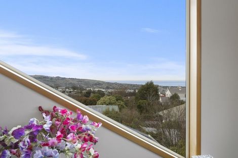 Photo of property in 29 Durham Street, Mornington, Dunedin, 9011