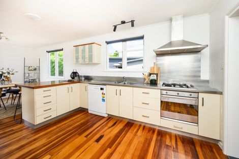 Photo of property in 12 Conway Place, Terrace End, Palmerston North, 4410