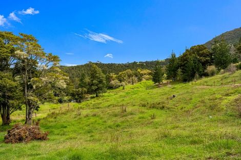 Photo of property in 240 Pukeatua Road, Maungatapere, Whangarei, 0179