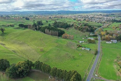 Photo of property in 102 Arapuni Road, Putaruru, 3481