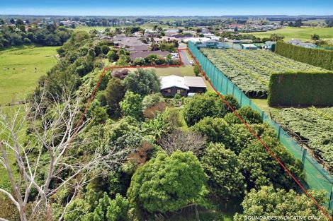 Photo of property in 3 Donelle Place, Te Puke, 3119