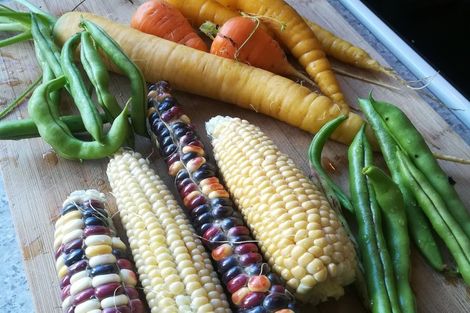 Photo of property in 20 Fairview Terrace, Sawyers Bay, Port Chalmers, 9023