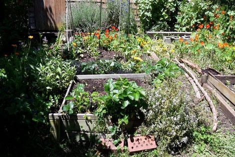 Photo of property in 64 Dale Road, Raumati South, Paraparaumu, 5032