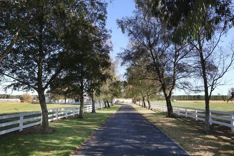 Photo of property in 280 Cochranes Road, Elgin, Ashburton, 7777