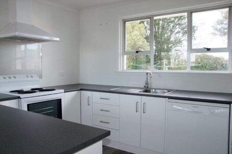 Photo of property in 217 Union Street, Milton, 9220