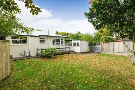 Photo of property in 116 Manawatu Street, Hokowhitu, Palmerston North, 4410