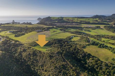 Photo of property in 404a Lees Road, Hahei, Whitianga, 3591