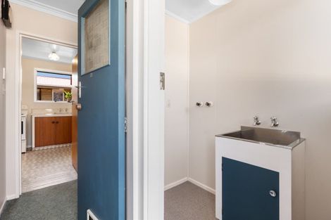 Photo of property in 29 Rutherford Street, Caversham, Dunedin, 9012