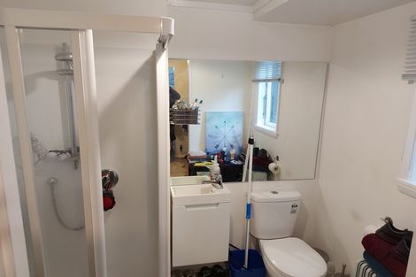 Photo of property in 64 Norway Street, Aro Valley, Wellington, 6012