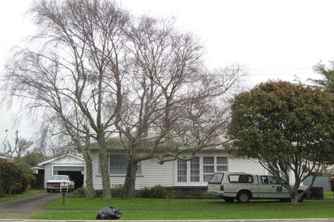 Photo of property in 21 Blake Street, Waitara, 4320