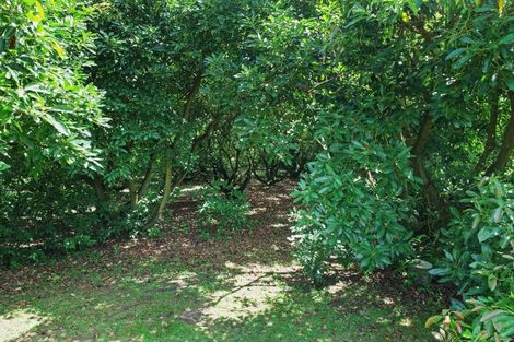 Photo of property in 4 Esdaile Road, Whakamarama, Tauranga, 3180