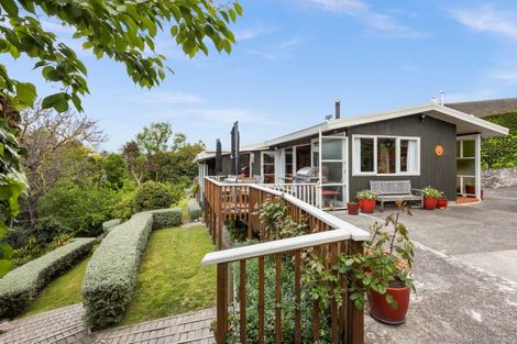 Photo of property in 113b Chaucer Road, Hospital Hill, Napier, 4110