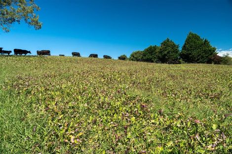 Photo of property in 127 Redwood Valley Road, Redwood Valley, Richmond, 7081