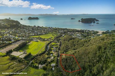 Photo of property in 25 Orchard Road, Hahei, Whitianga, 3591