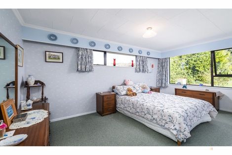 Photo of property in 1 Pitman Place, Waimate, 7924